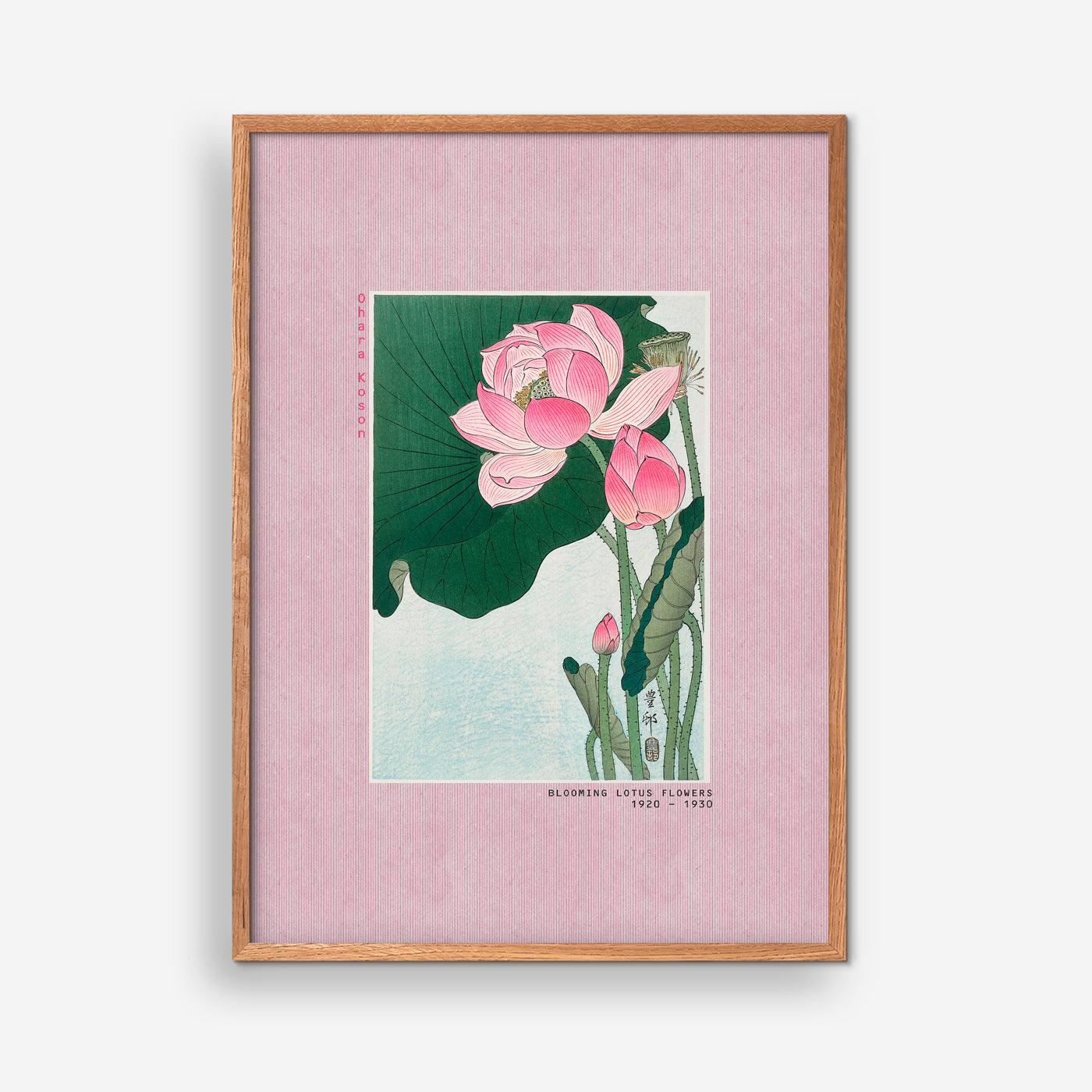 Blooming Lotus Flowers Ohara Koson