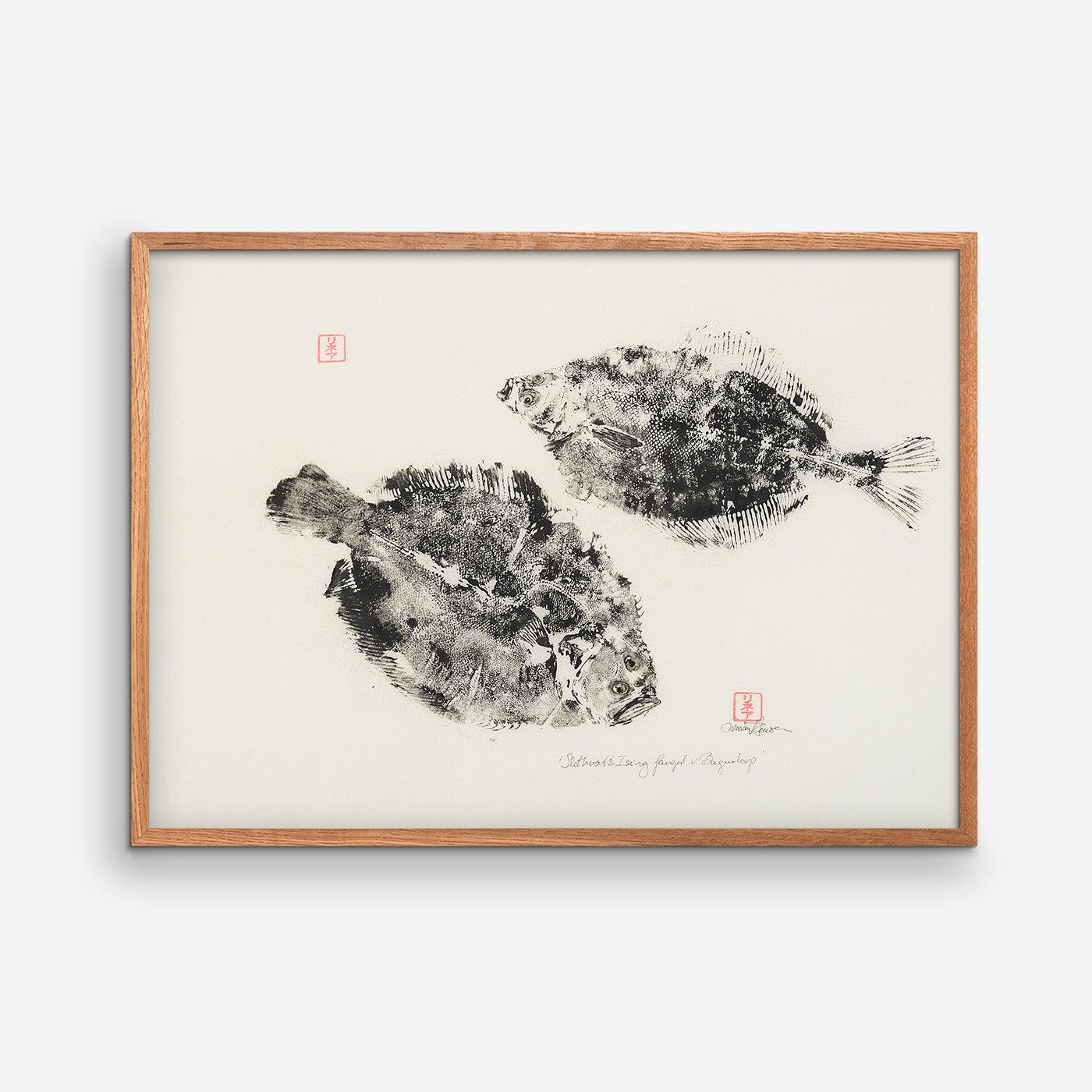 Brill and Dab caught at Bagenkop 01 - MOMLIS