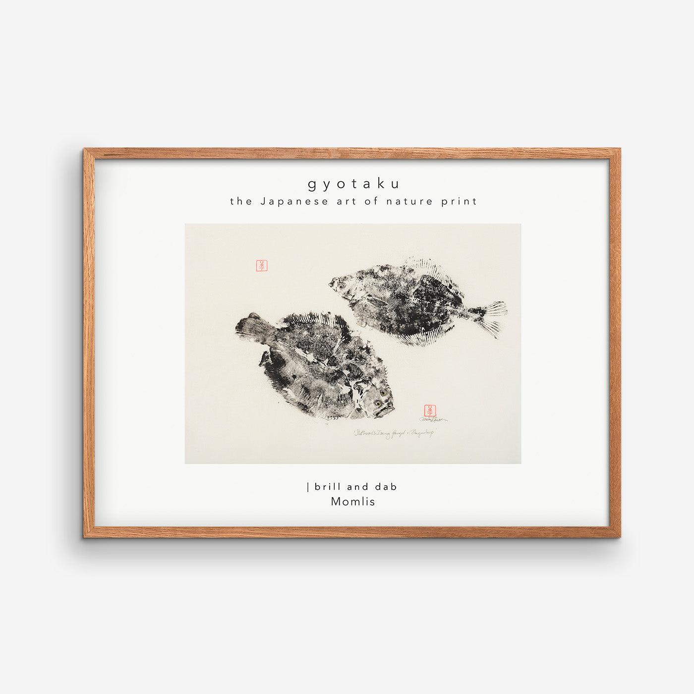 Brill and Dab caught at Bagenkop 02 - MOMLIS