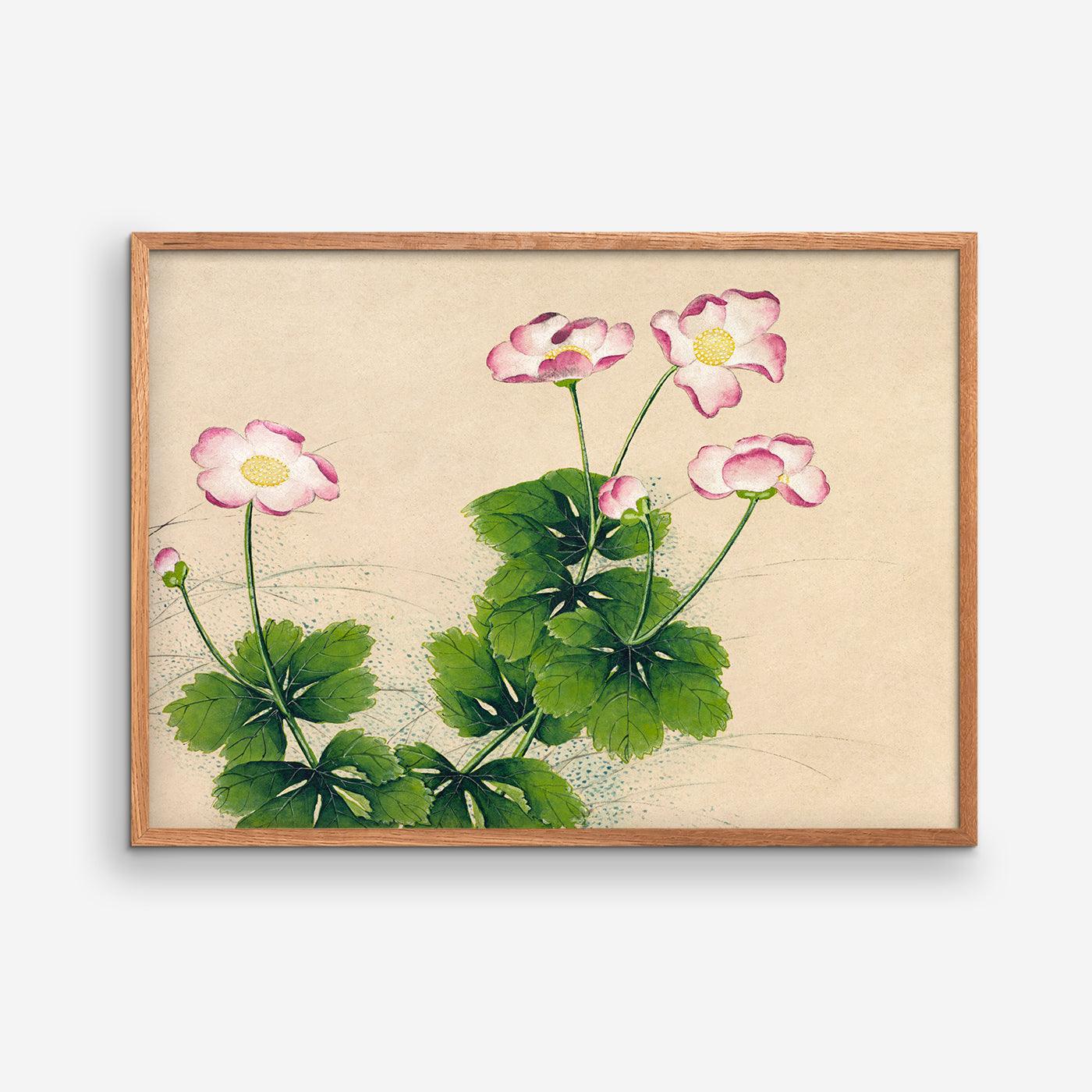 Mallow flowers - Zhang Ruoai