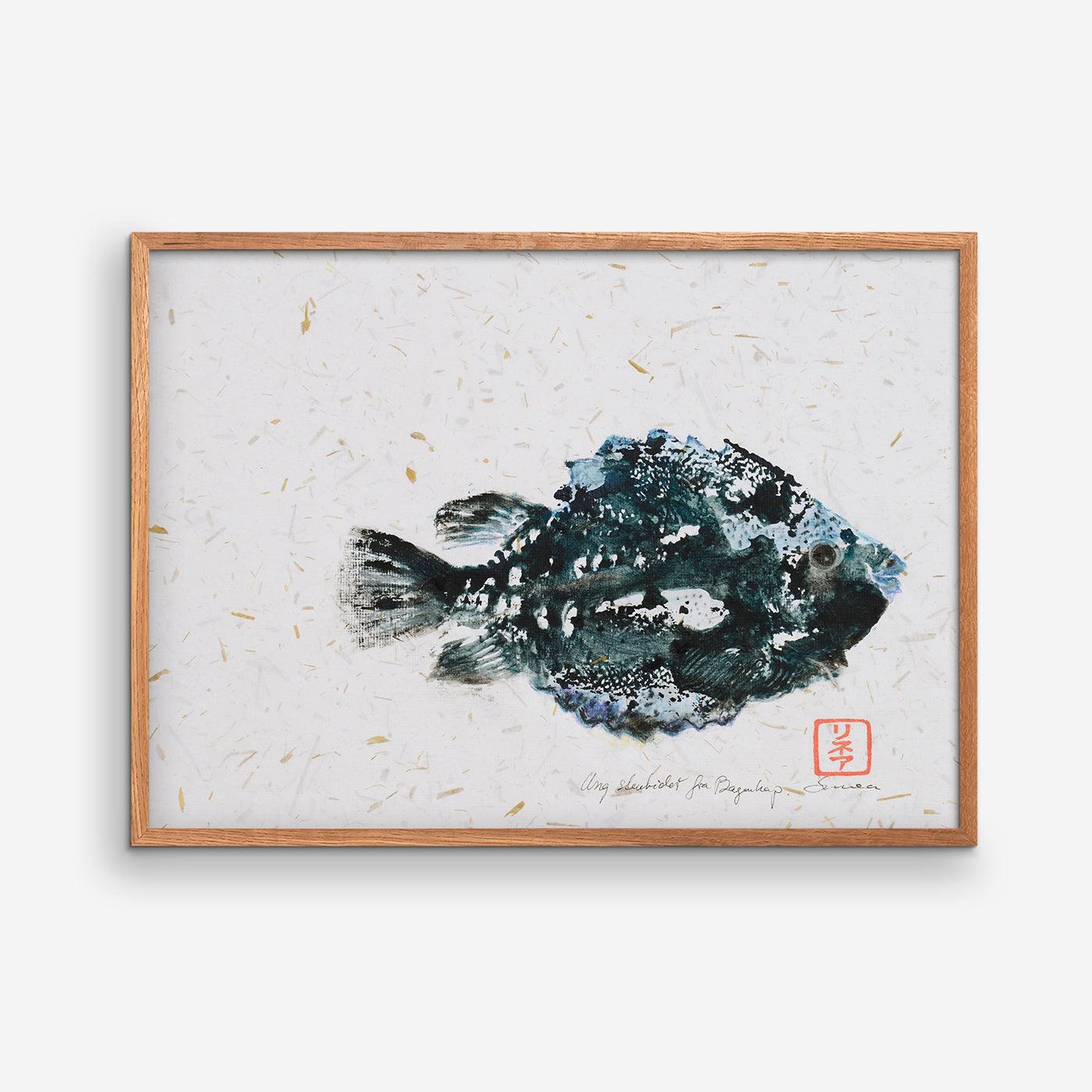 Lumpsucker caught at Bagenkop - MOMLIS