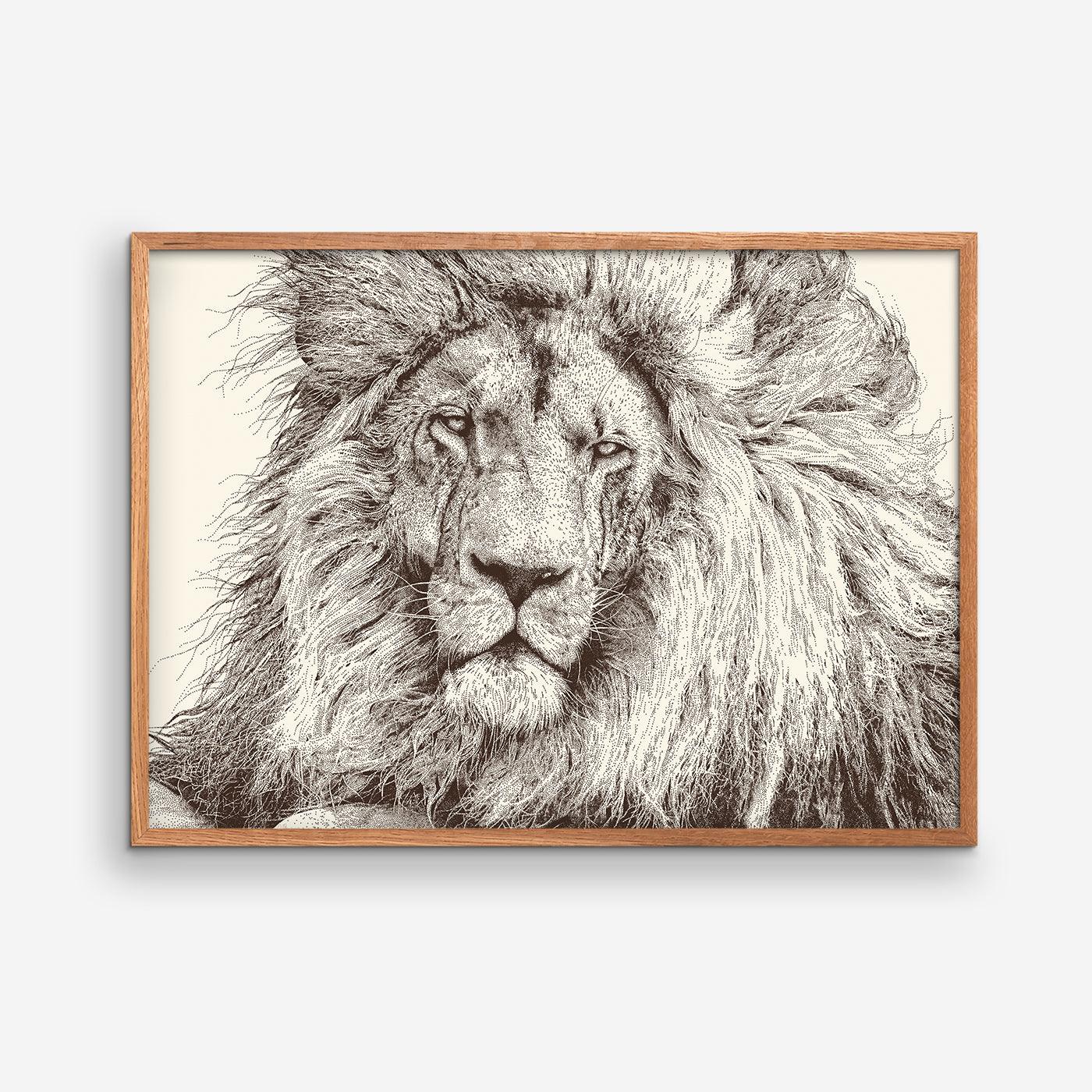 Lion - Julie Flansmose