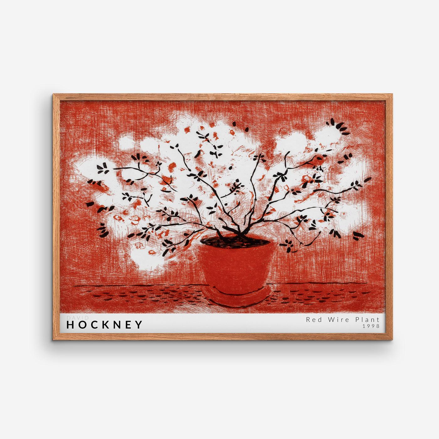 Red Wire Plant - David Hockney, 1998