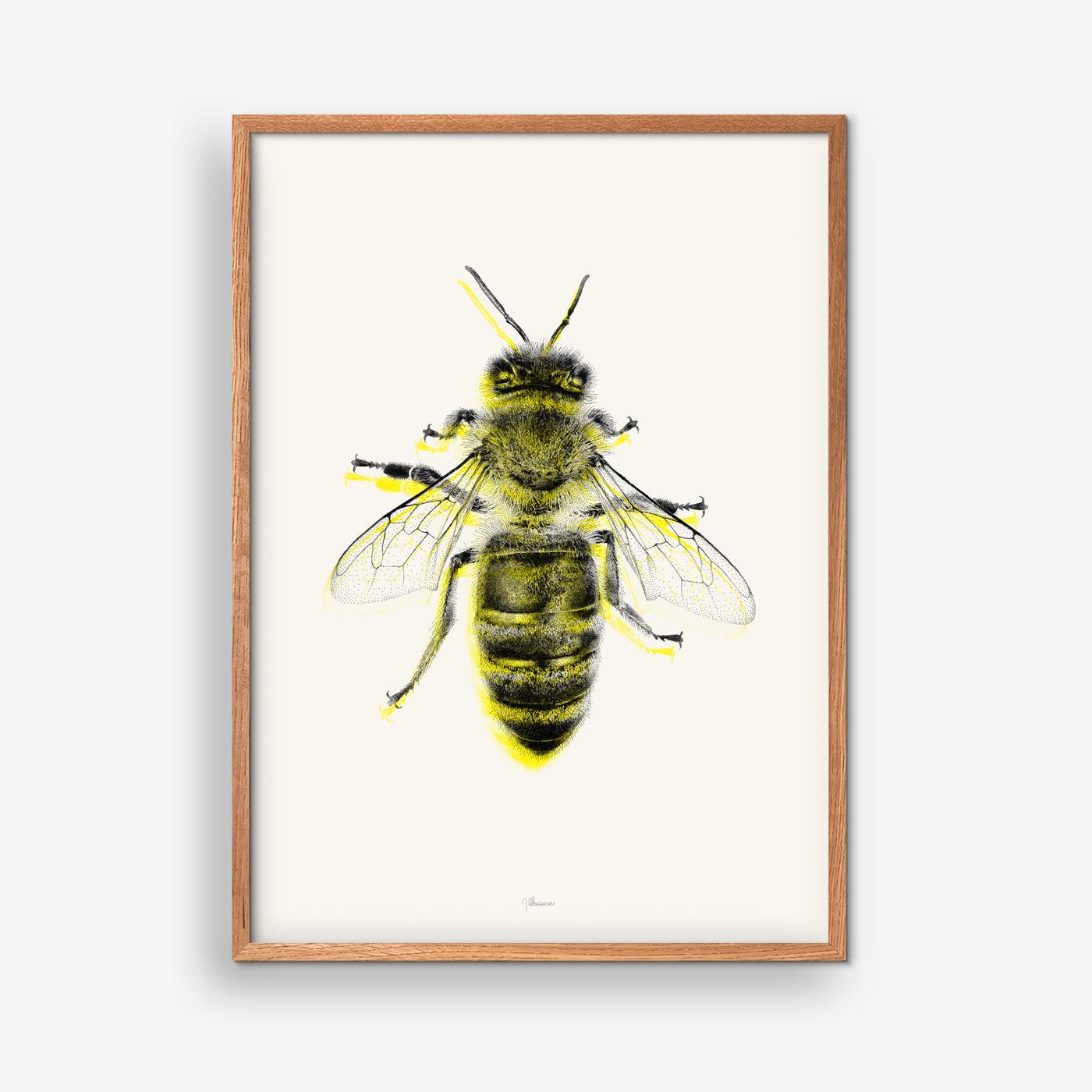 Honningbi - Julie Flansmose