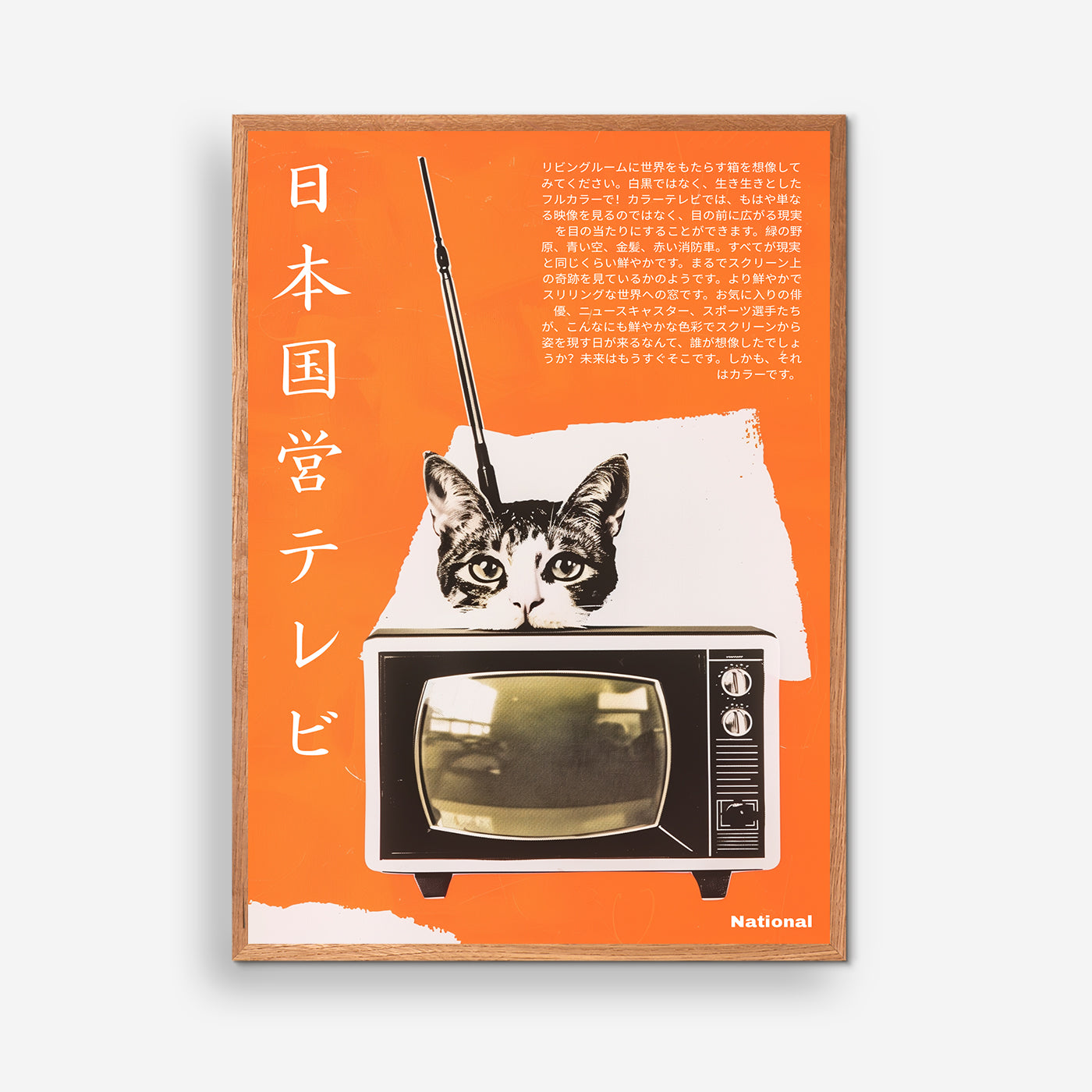 National TV Cat