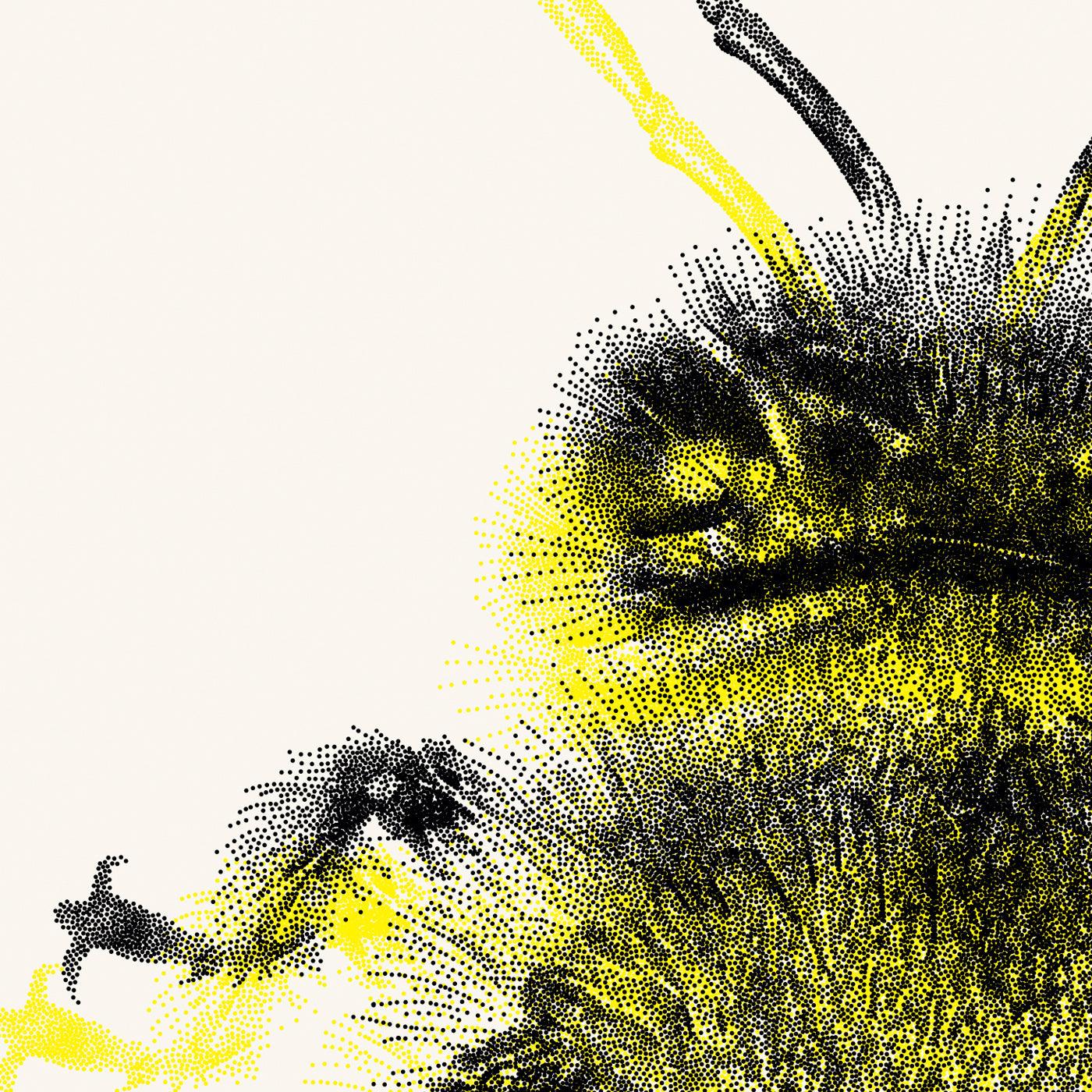 Honningbi - Julie Flansmose