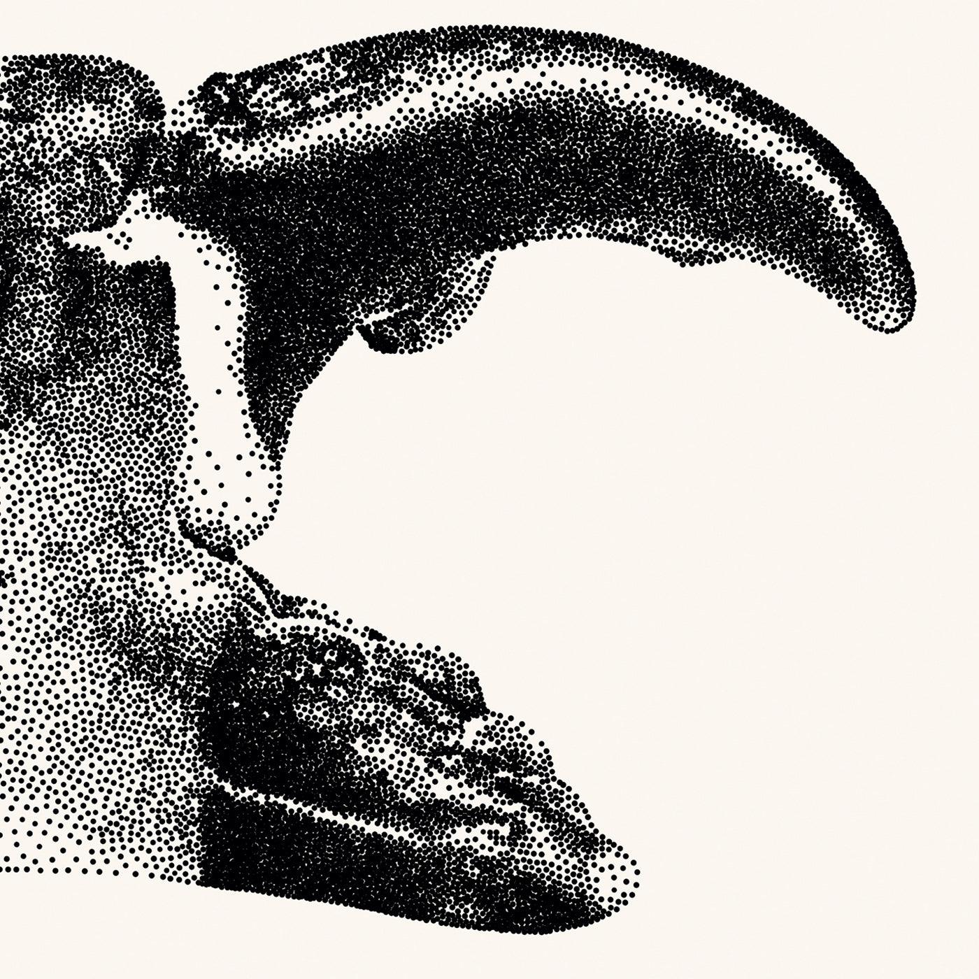 Crab Claw - Black - Julie Flansmose