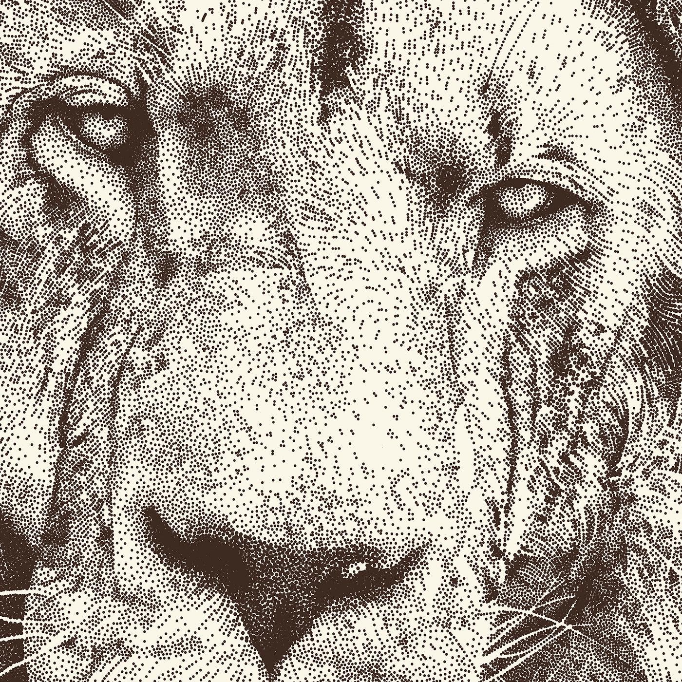 Lion - Julie Flansmose