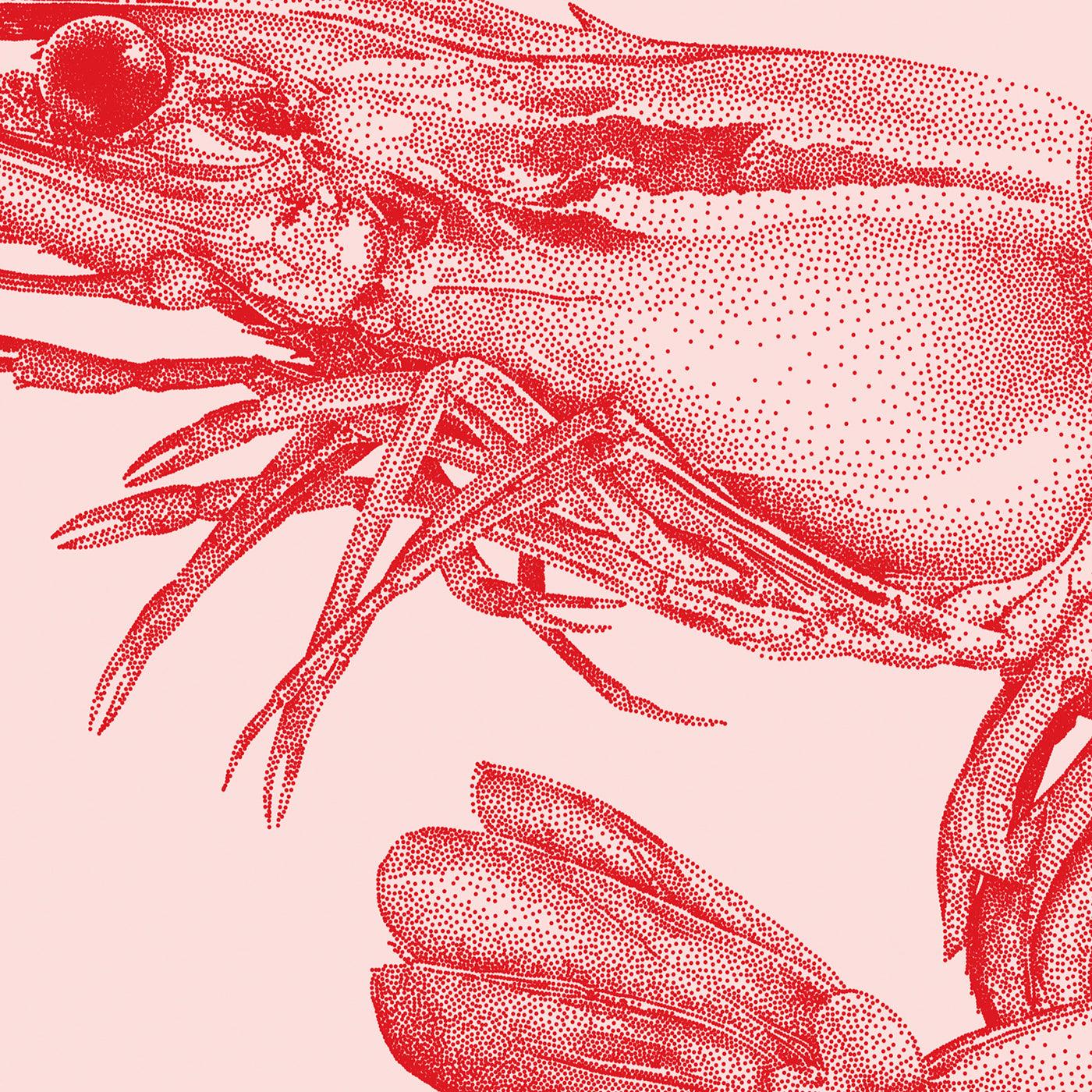 Reje - Rød - Julie Flansmose