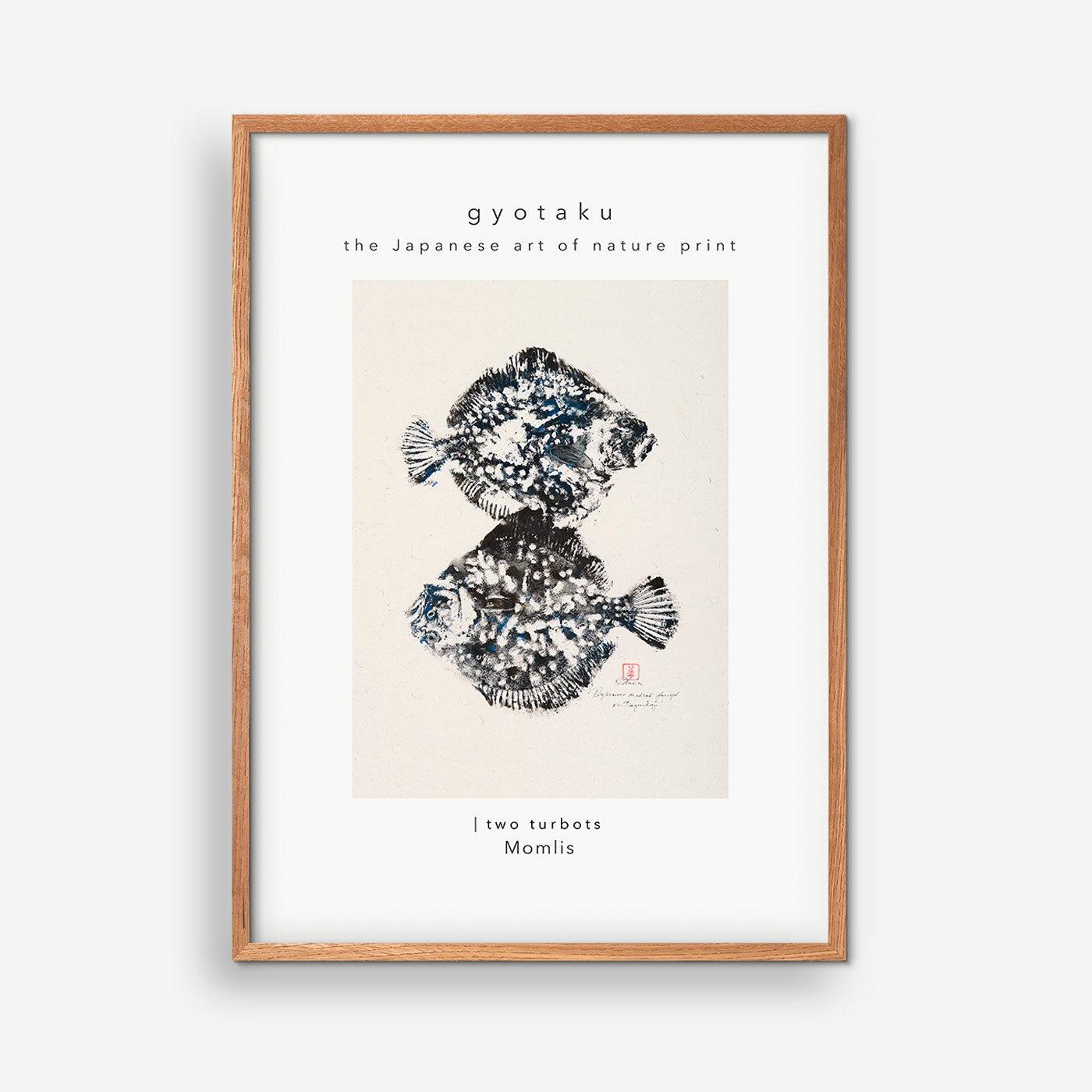 Two Turbot caught at Bagenkop 02 - MOMLIS