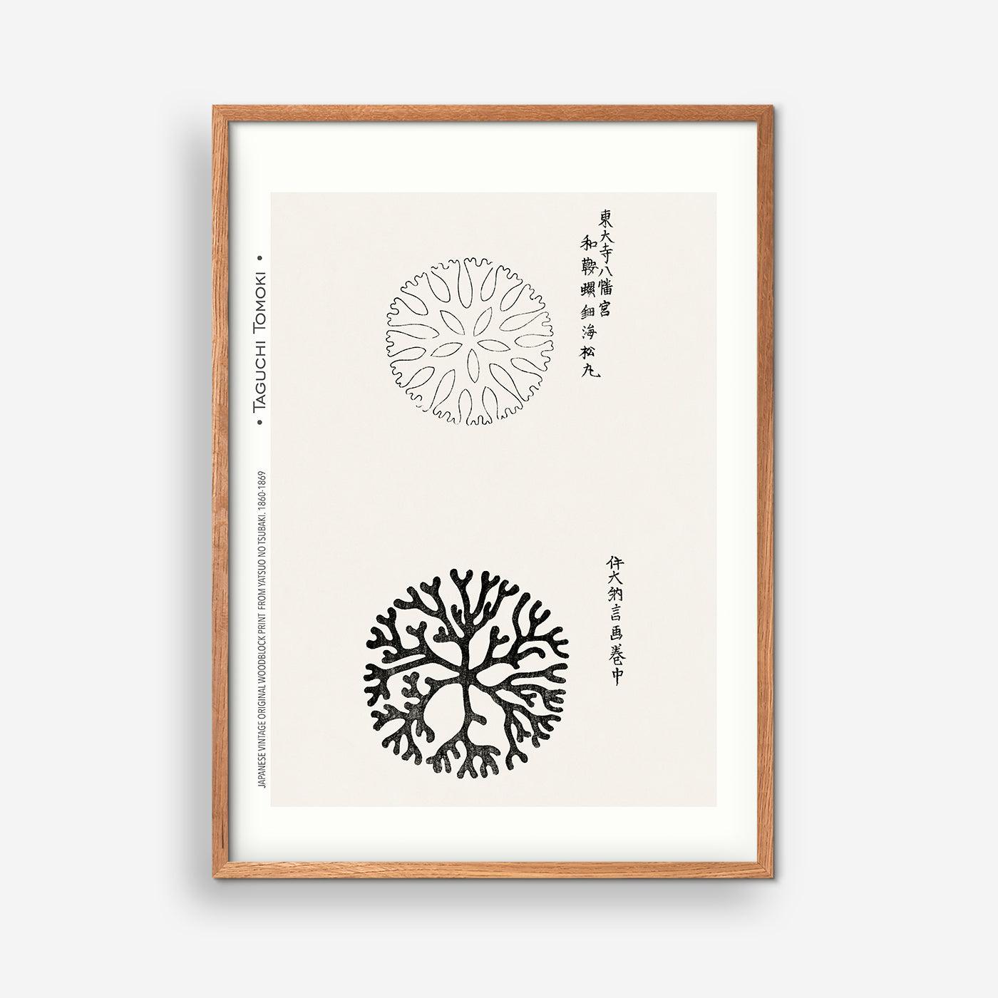 Taguchi Tomoki - Yatsuo no tsubaki IV