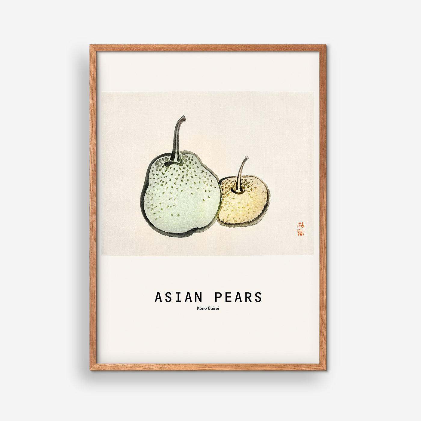 Asian Pears - Kōno Bairei