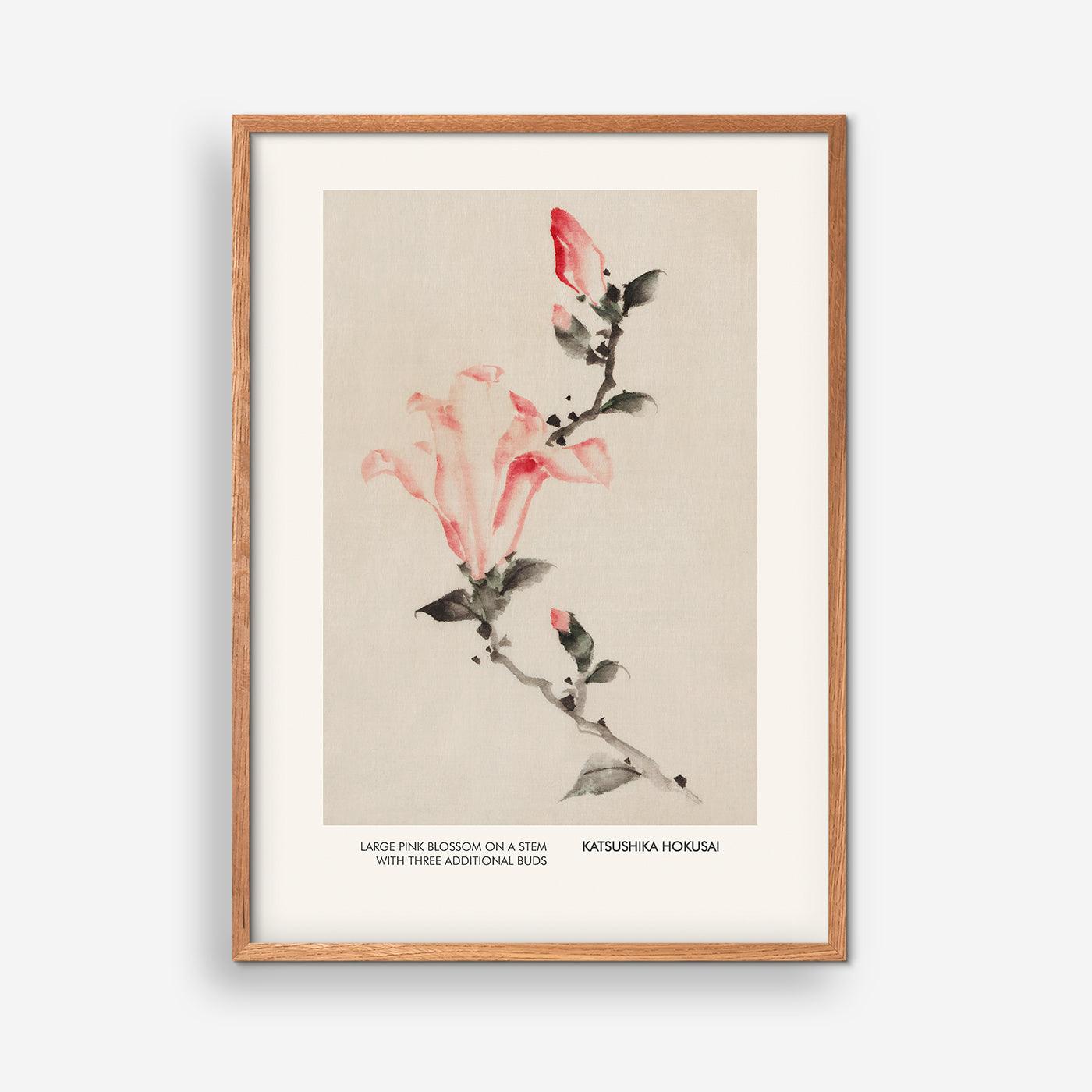 Large Pink Blossom - Katushika Hokusai