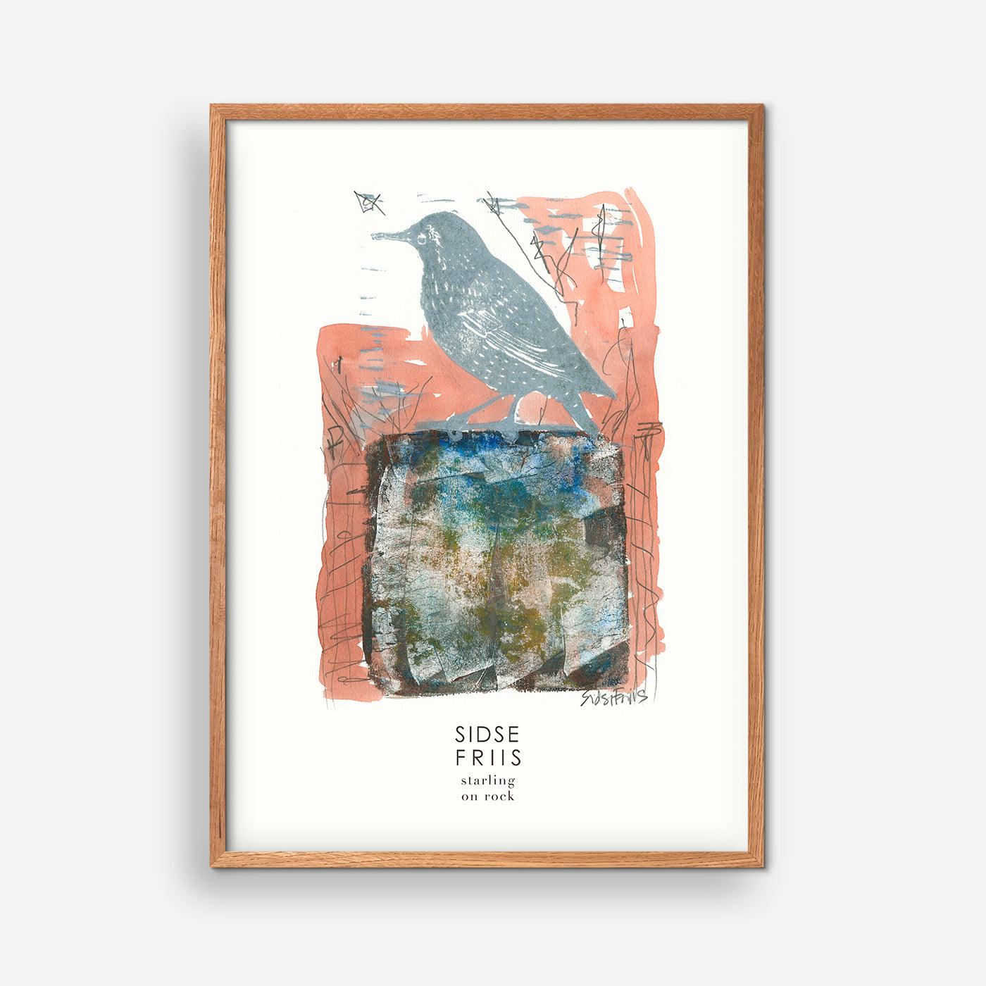 Starling On Rock - Sidse Friis