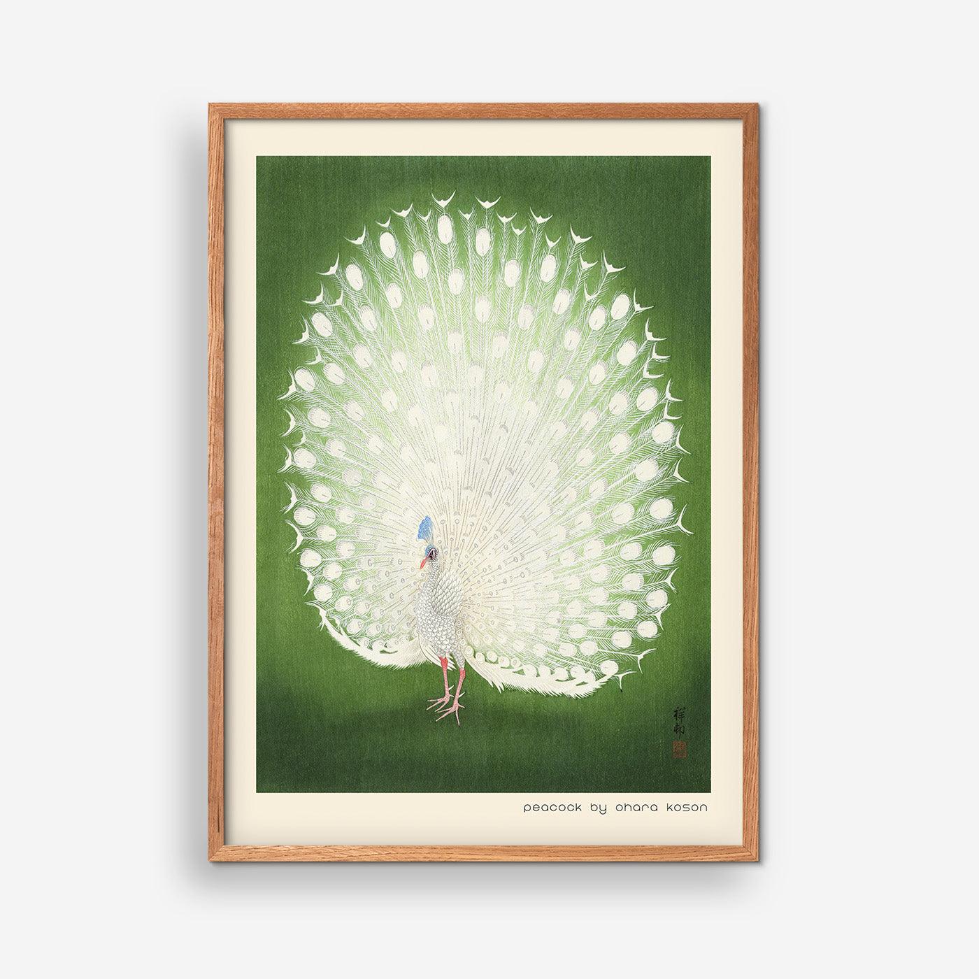Green Peacock - Ohara Koson