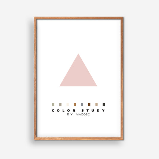 Color Study Rose Triangle by MAGOSC