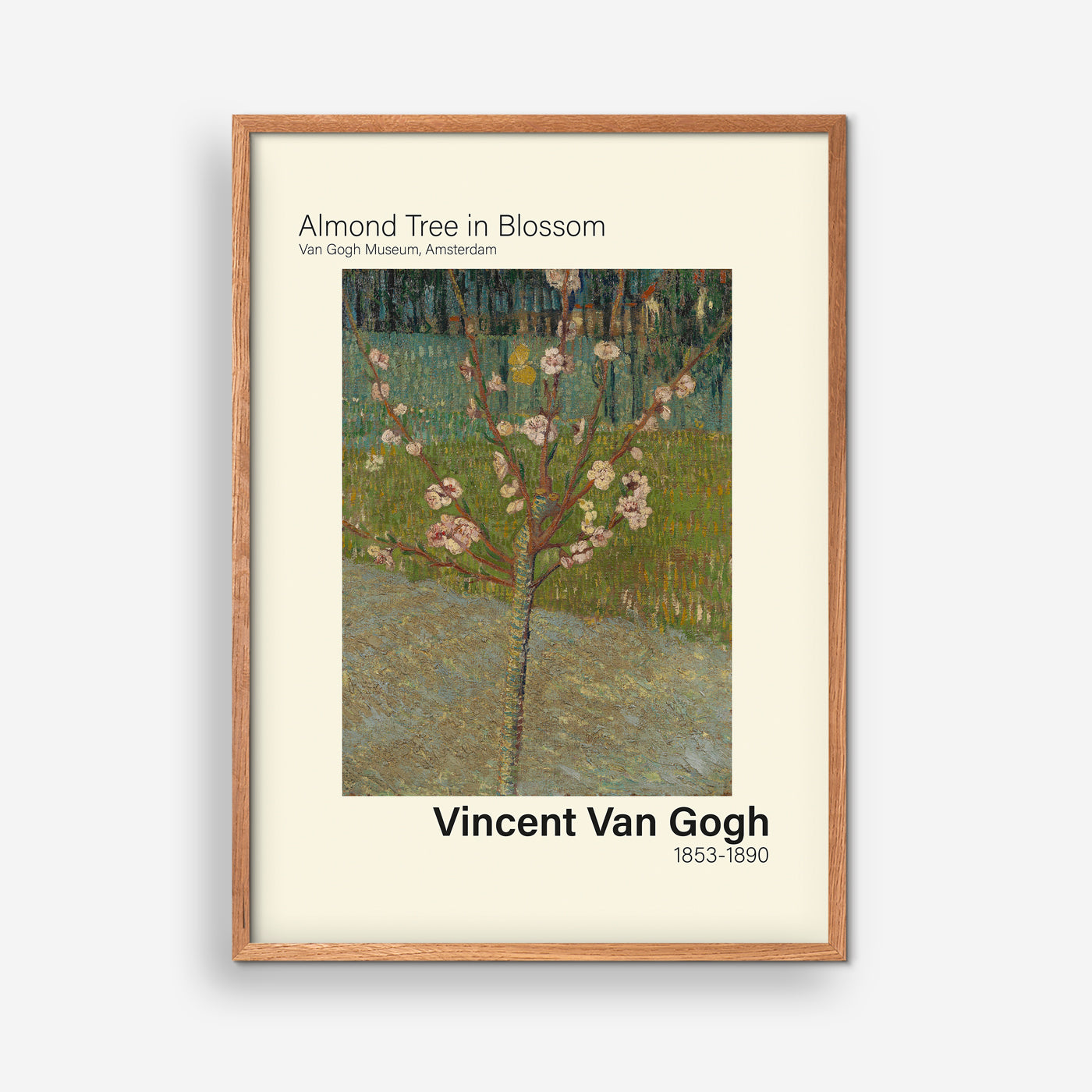 Almond Tree in Blossom - Van Gogh