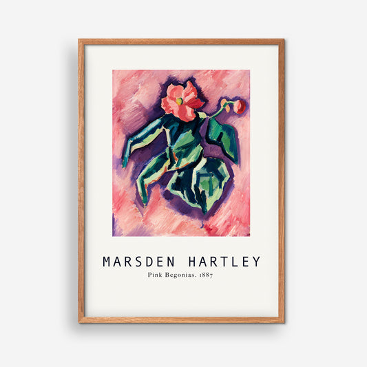 Marsden Hartley - Pink Begonias