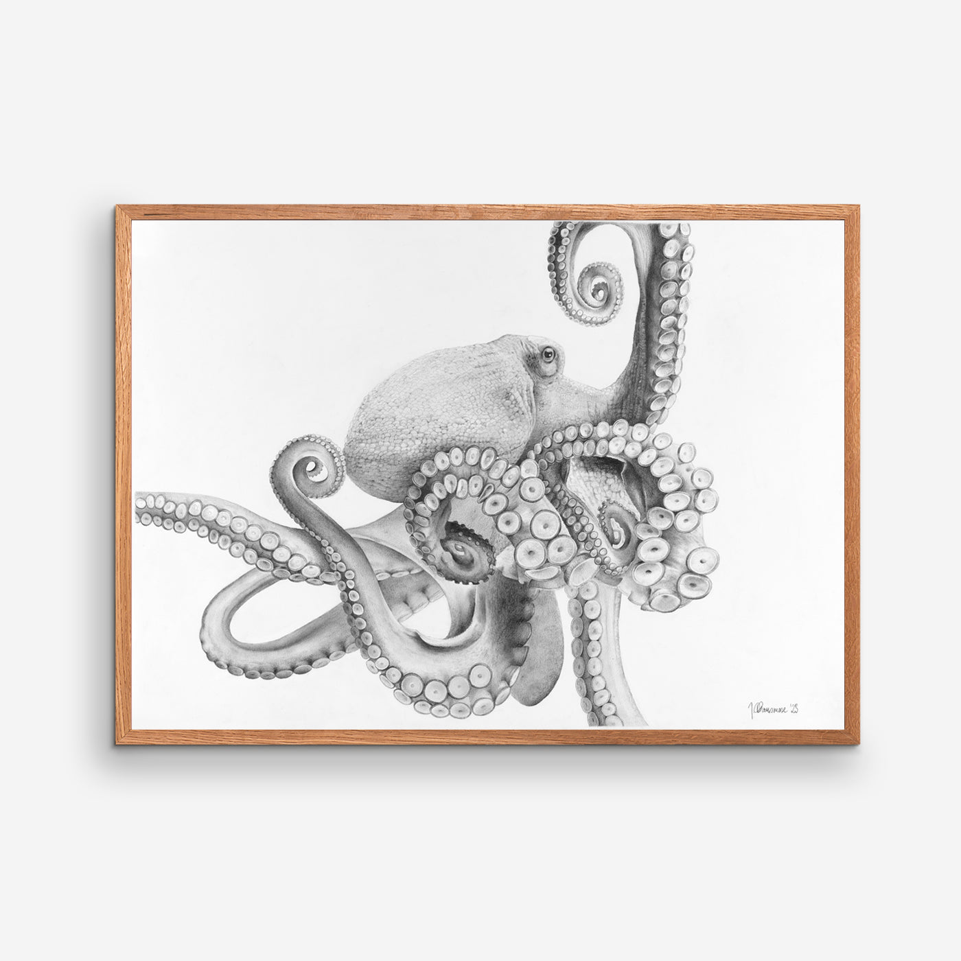 Octopus - Julie Flansmose