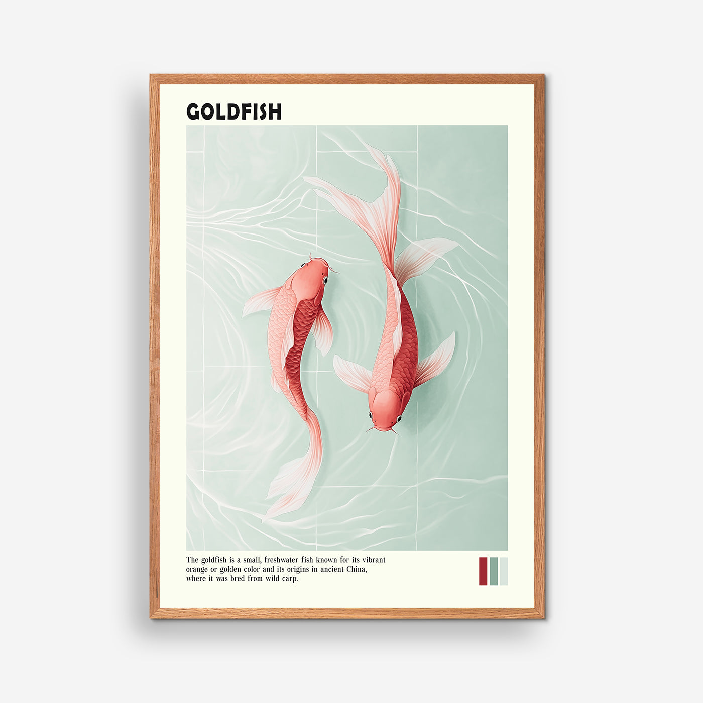 Goldfish