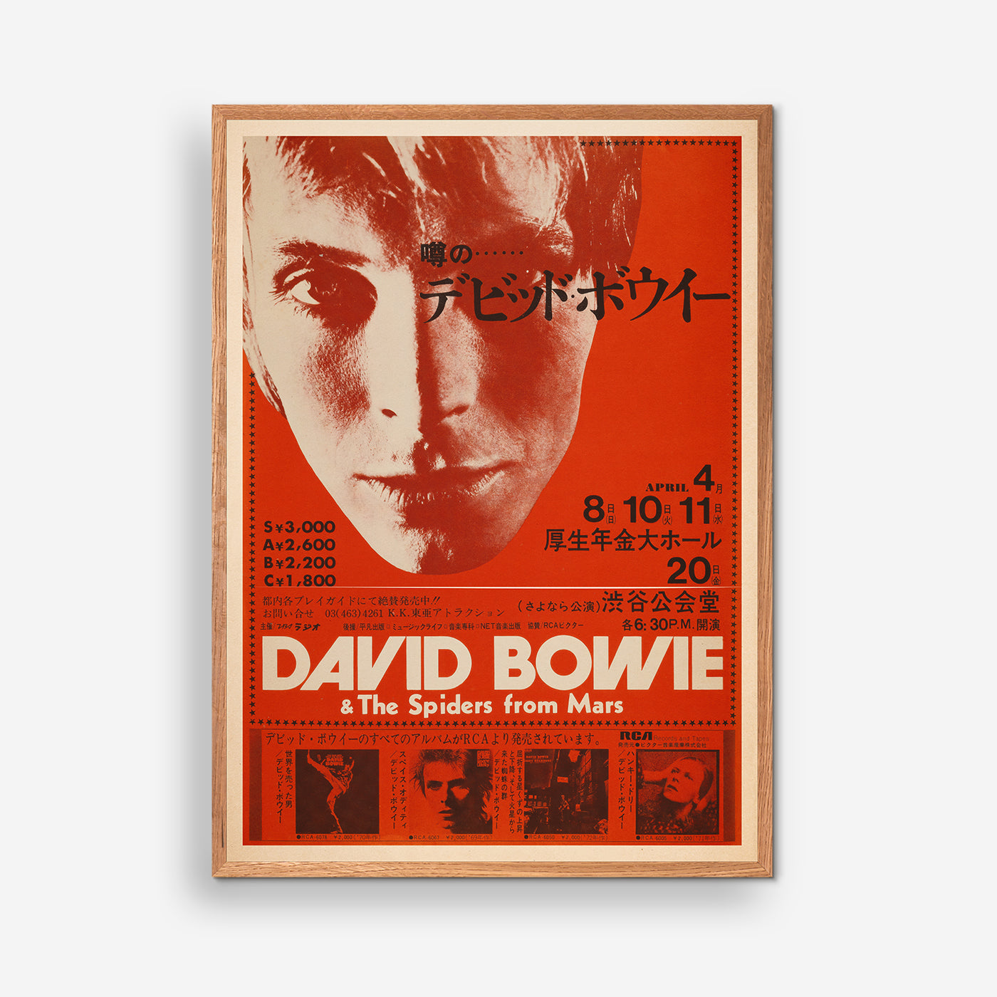 David Bowie koncert plakat