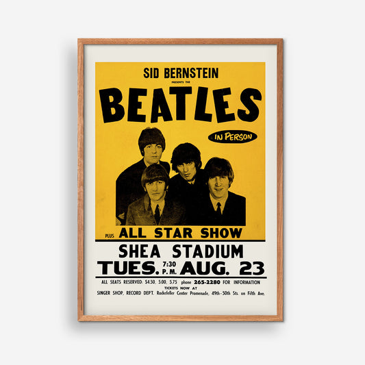 Shea Stadium Concert - The Beatles