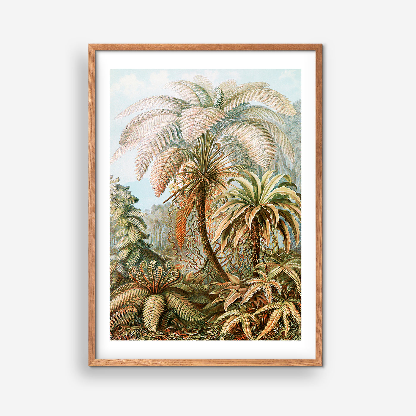 Palm Tree - Ernst Haeckel